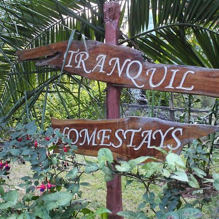 Tranquil Homestays Naro Moru Esterno foto